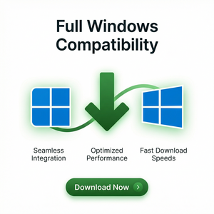 IDM官网 - IDM HSTS严格传输安全